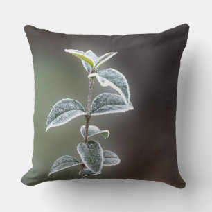 lace on leaves cushion