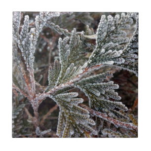 Lace on twigs tile