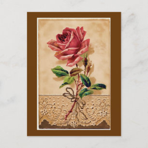 Lace Rose Postcard