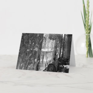 Lace View Card