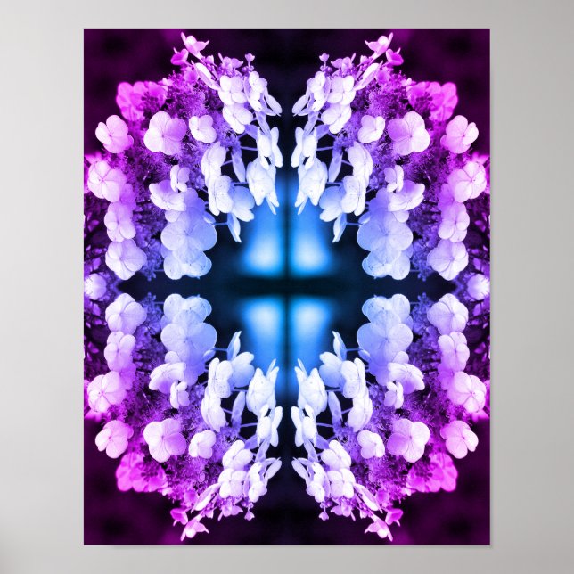Lacecap Hydrangea Black And White Abstract Tinted Poster (Front)