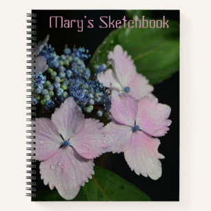 Lacecap Hydrangea Sketch Notebook