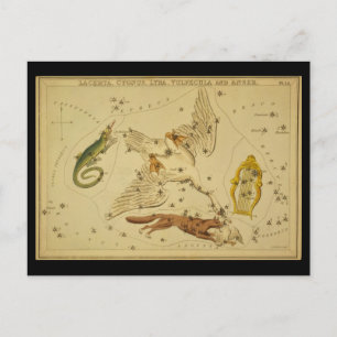 Lacerta, Cygnus, Lyra, Vulpecula and Anser Postcard