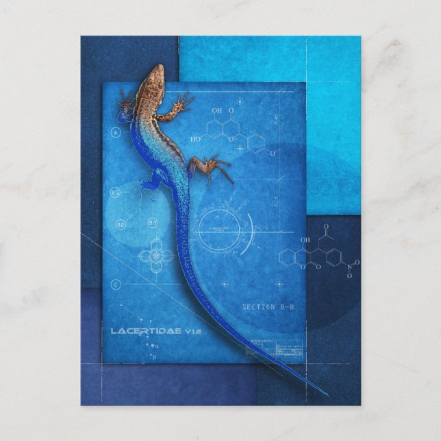 Lacertidae v1.2 postcard (Front)