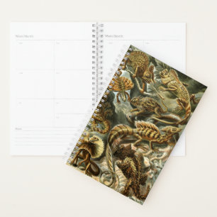 Lacertilia, lizards by Ernst Haeckel Planner