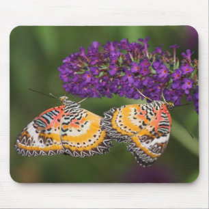 Lacewing Duet Mouse Pad
