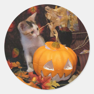 Lacey  - Halloween Cat / Kitten Stickers