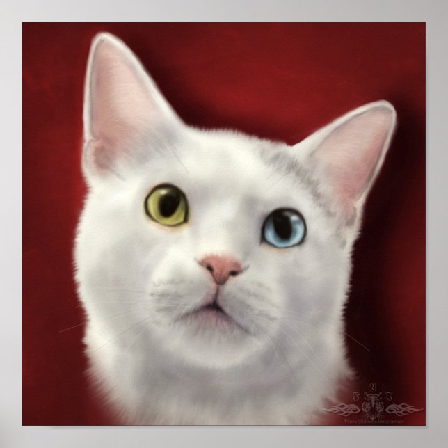 Lacey Poster (Front)