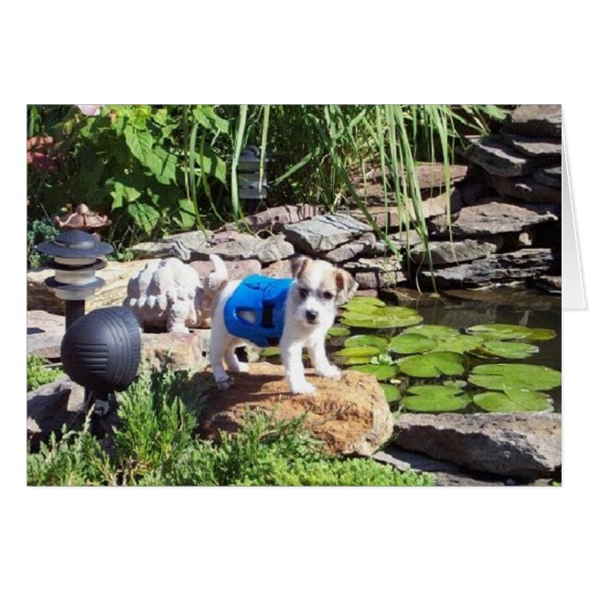 Lacey the Lifeguard (Front Horizontal)