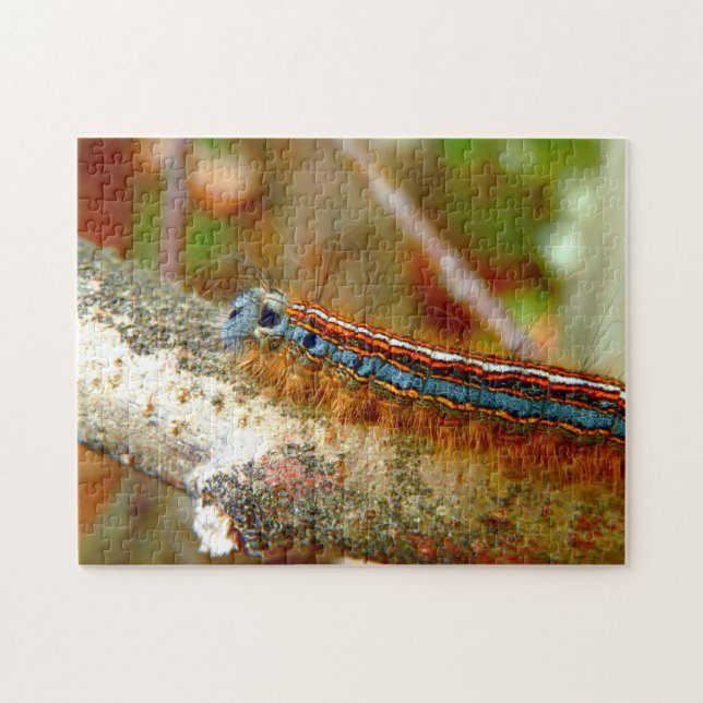 Lackey Moth Caterpillar Photo Puzzle with Gift Box (Horizontal)