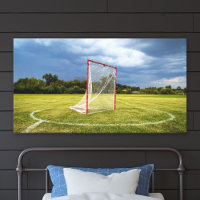 Lacrosse Goal Vibrant Outdoor Scenic Photo