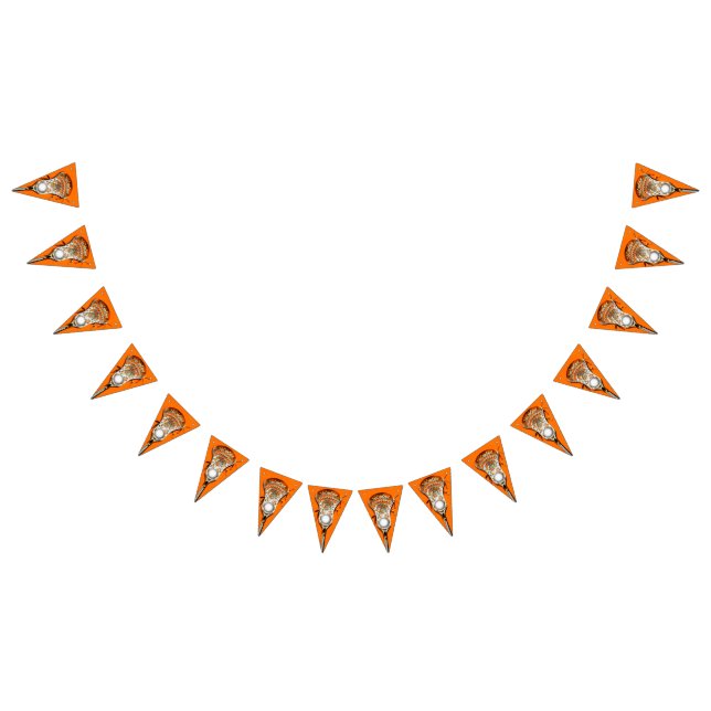 Lacrosse Party Orange Bunting (All)