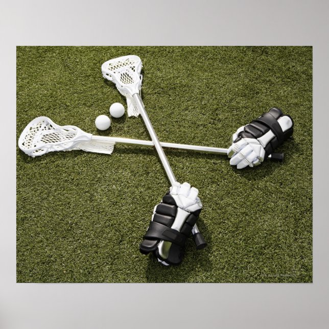 Lacrosse sticks, gloves and balls on artificial poster (Front)