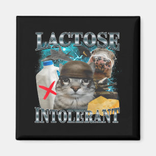 Lactose Intolerant Silly Cat Meme Funny Saying Cat Magnet