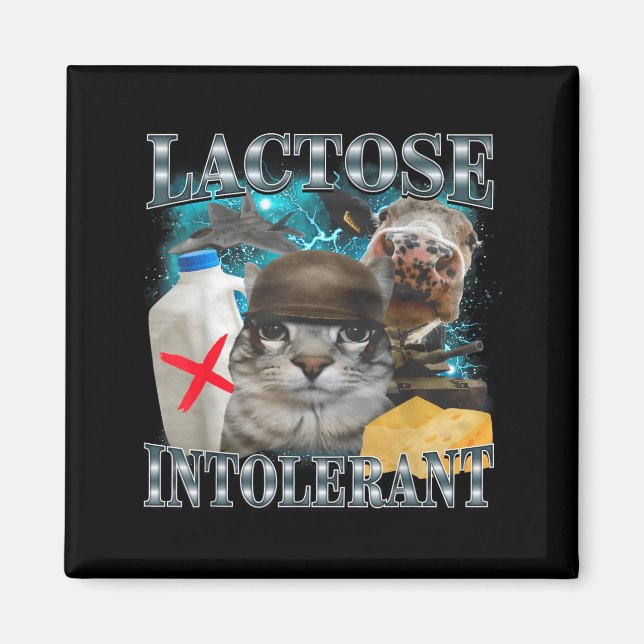 Lactose Intolerant Silly Cat Meme Funny Saying Cat Magnet (Front)