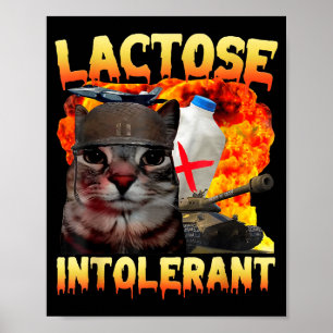 Lactose Intolerant Silly Cat Meme Funny Saying Cat Poster
