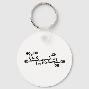 Lactose Milk Structure Key Ring