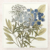 Lacy Leaves - Flowers and Greenery