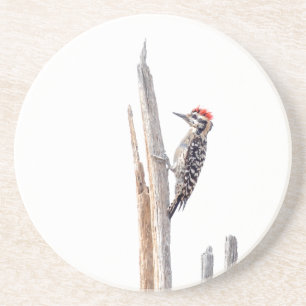 Ladder-Backed Woodpecker Coaster