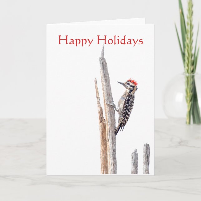 Ladder-Backed Woodpecker, Happy Holidays Holiday Card (Front)