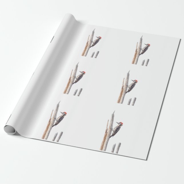 Ladder-Backed Woodpecker Wrapping Paper (Unrolled)