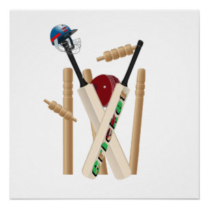 Ladies Cricket The Game Allrounder , Poster