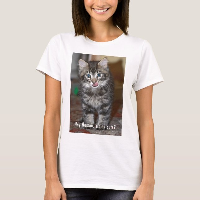 Ladies Kitten T T-Shirt (Front)