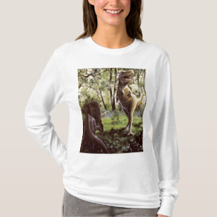 Ladies Long Sleeve T-Shirt
