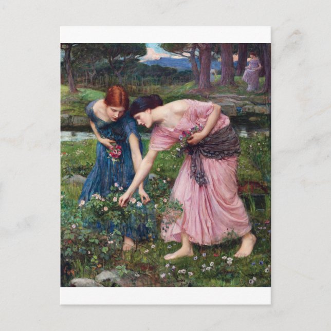 Ladies Picking Roses, John William Waterhouse Postcard (Front)