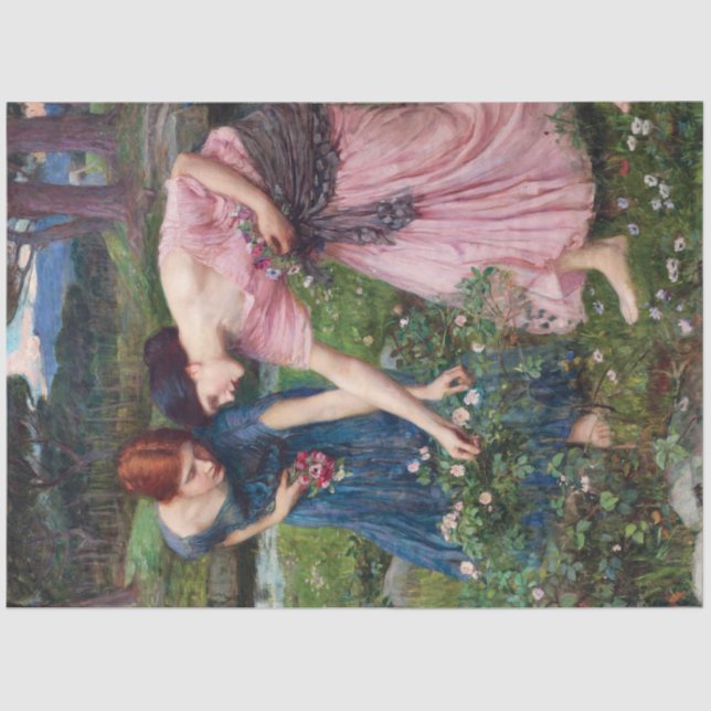 Ladies Picking Roses, John William Waterhouse Tissue Paper (Front)