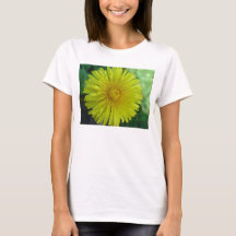 Ladies T-Shirt - Dandelion
