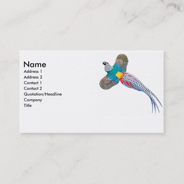 Lady Amherst Pheasant Business Card (Front)