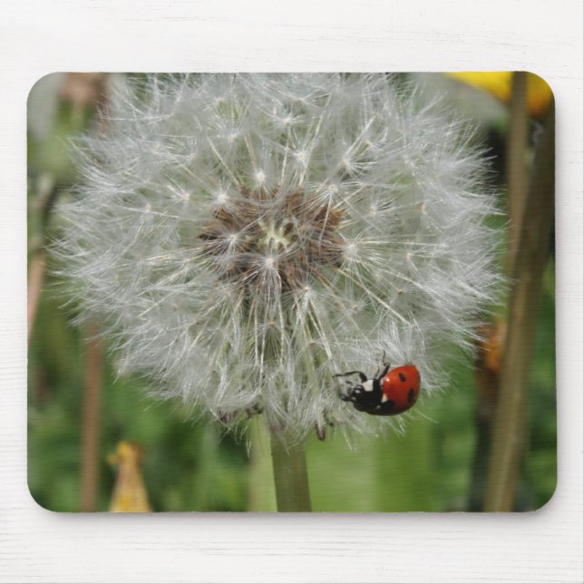 lady beetle - ladybird on dandelion mouse pad (Front)