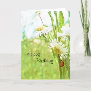 Lady Bug Birthday Card