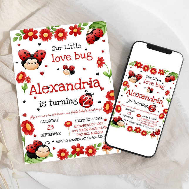 Lady Bug Birthday Invitation (Creator Uploaded)