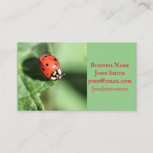 Lady bug business card