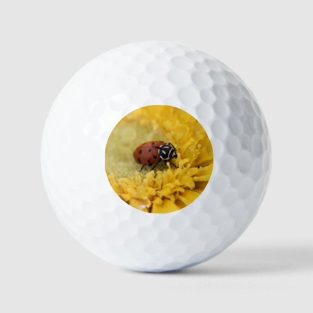 Lady bug golf balls (Front)
