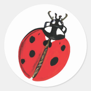 Lady Bug Illustration Classic Round Sticker