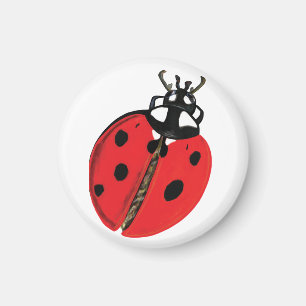Lady Bug Illustration Magnet