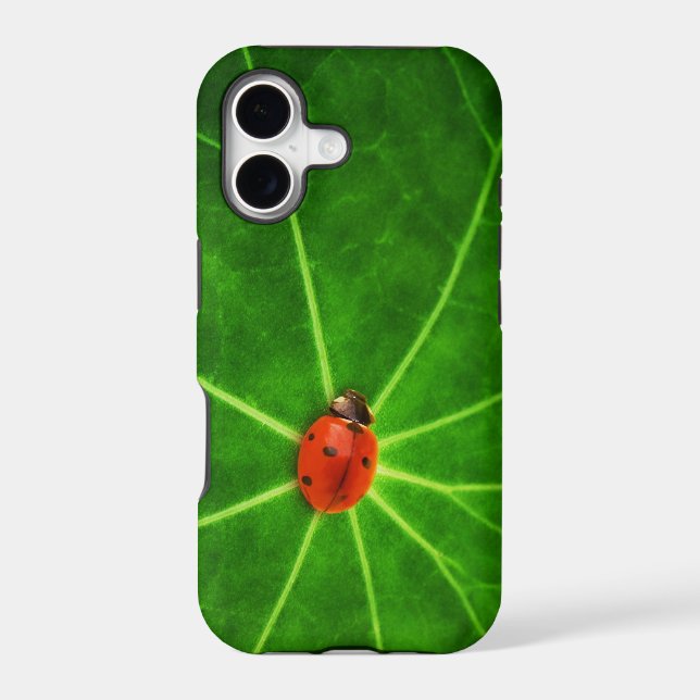 Lady Bug Iphone 5S Case (Back)