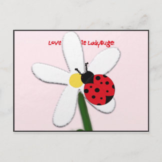 Lady Bug Lovin Postcard