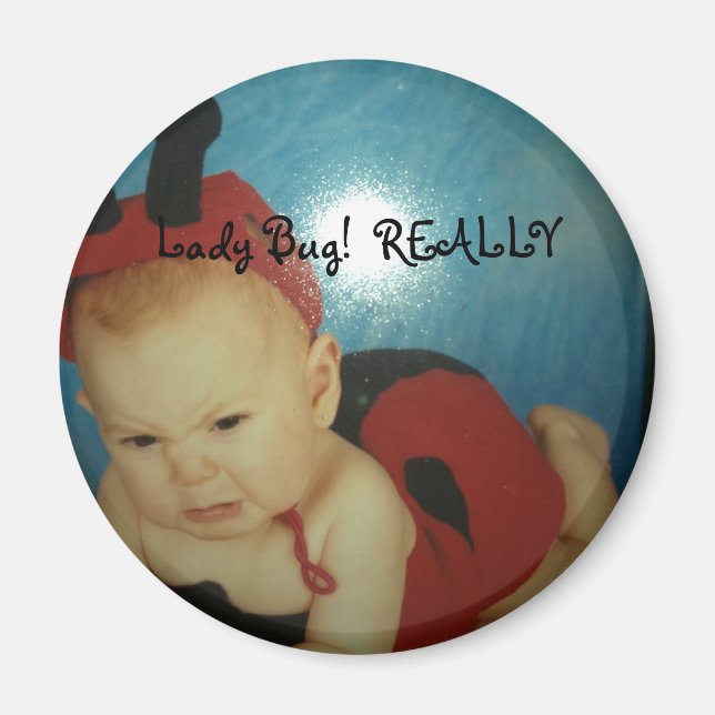 Lady Bug Magnet (Front)