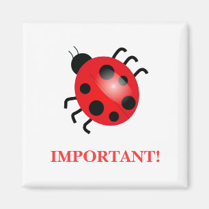 Lady Bug   Magnet