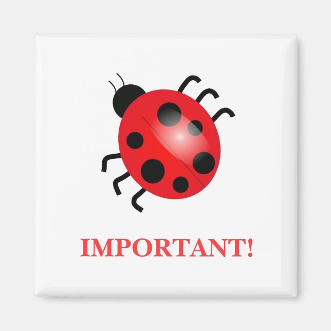 Lady Bug | Magnet (Front)