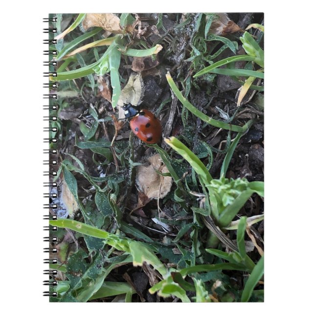 Lady Bug Notebook (Front)