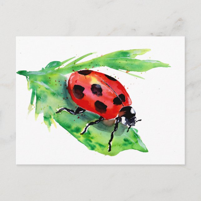 Lady Bug on a Green Leaf Postcard (Front)
