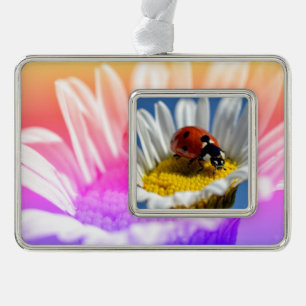Lady bug on daisy Mug Mouse Pad Poster Christmas O Silver Plated Framed Ornament
