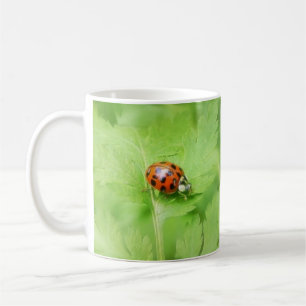 Lady Bug on Feverfew Leaf Coffee Mug