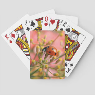 Lady Bug Playing Cards