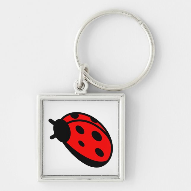 Lady Bug Print Key Chain (Front)